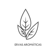 ERVAS AROMÁTICAS